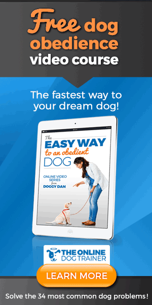 Easy Way to an obedient DOG