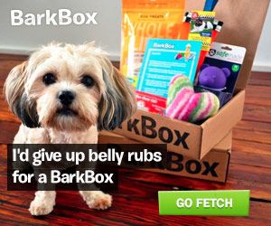BarkBox