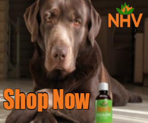NHV Natural Pet